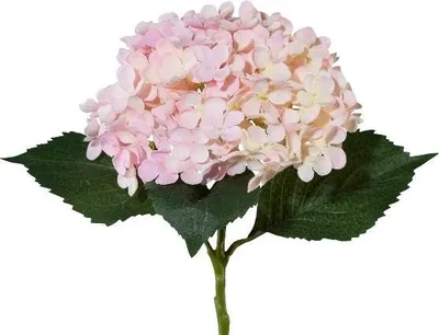 Produktbild von artplants.de Kunstpflanze Hortensie ZURTO, Hellrosa, 55cm - Künstliche Hortensie