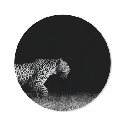 Produktbild von MuchoWow® Mauspad Mousepad Wildtiere - Leopard - Gras - Schwarz - Weiß 40x40 cm - Mousepads - Maus Mat - Pad - Mausunterlage - Schreibtisch Accessoires