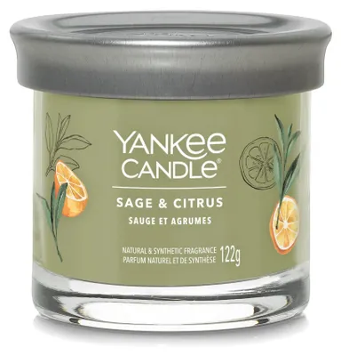 Productafbeelding van Yankee Candle, geurkaars: Salie & Citrus, groene kleur, 1 stuk