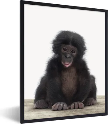 Produktbild von MuchoWow® Gerahmtes Poster Kind - Affe - Schimpanse - Babytiere - Jungen - Mädchen 60x80 cm - Poster mit Schwarzem Bilderrahmen Wandposter Rahmen Foto Bilder - Premium - Wanddeko Wohnzimmer