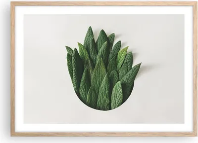 Produktbild von Gerahmtes Poster - Rahmen in heller Eiche - Salbei Medizin Blätter - 70x50 cm - Wand Bild - Wanddeko - Wandbilder - Kunstposter - Wandposter - Bilderrahmen - Bilder - Kunstdruck - P2NAA70x50-4859