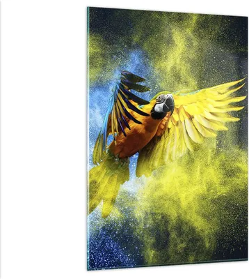 Produktbild von Bilder auf glas - Einteilig - Papagei Vogel Feder - 80x120cm - Glasbilder - Wandbilder - Bilder - zum Aufhängen bereit - Wanddekoration aus Glas - Glas Bilder - Wandbild auf Glas - GPA80x120-3666