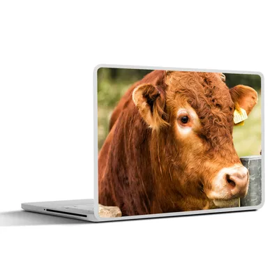 Produktbild von MuchoWow® Laptop Aufkleber Sticker Cover Schottischer Highlander - Berg - Zaun 30x22 cm - Laptop-Sticker