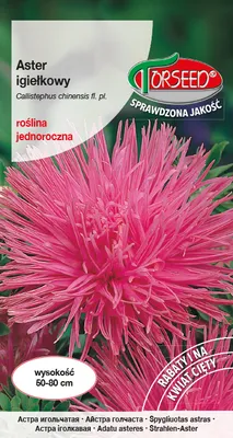 Produktbild von Samen von Aster hohe Nadel rosa 0.5g - Torseed