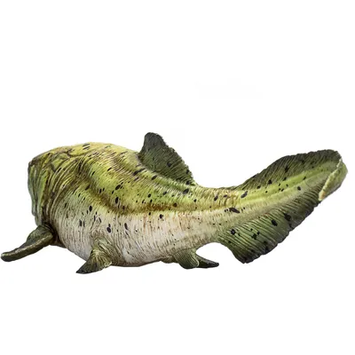 Obrázok produktu pre Mojo Fun Dunkleosteus, 3 rok / roky, PREHISTORIC LIFE, Zelená, Čierna, Biela, Polyvinylchlorid (PVC)