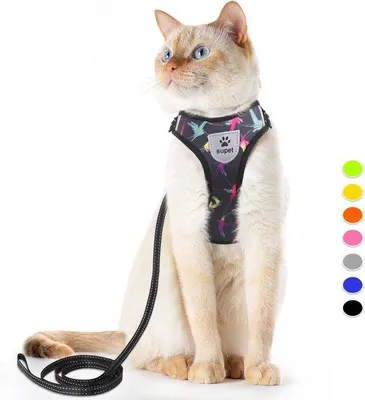 Produktbild von Famanu Katzenharness und Leinen-Set, flugzeugtauglich, verstellbar, reflektierende Streifen, schwarz, M
