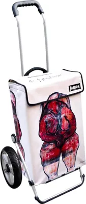 Produktbild von James Einkaufstrolley - MATTERSBERGER - stabiler Einkaufswagen mit individuellem Design - einfarbig: rot in Ausführung: Royal-Leichtraeder