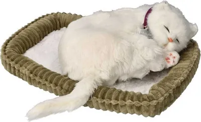 Obrázek produktu pro Perfect Petzzz 92615 Bílé krátkosrsté kotě