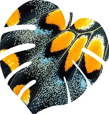 Zdjęcie produktu dla Bertoni Monstera mata filcowa M 33x33 cm 4 mm grubości - Tropical