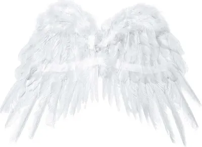 Produktbild von Engelsflügel , Auswahl:SK1-008 53cm x 37cm weiß