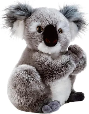 Image de Peluche koala, 22 cm, douce et câline, idéale pour les chambres d'enfants