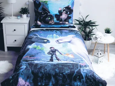 Obrázek produktu pro Jerry Fabrics Bavlněné povlečení 140x200 Dragon Jak uvolnit draka Dragons 6007