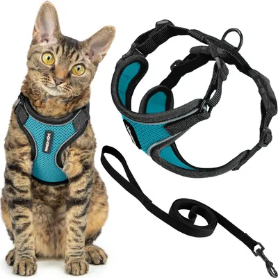 Katzenhalsband-Set mit Leine, reflektierend, verstellbar, 1,5 m
