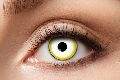 Produktbild von Zoelibat Eyecatcher Avatar 3  Monate Kontaktlinsen Intensiver Fantasy-Look Monatslinsen Funlinsen