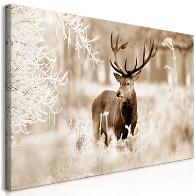 Immagine prodotto di Murale mega XXXL cervo 250x125 cm pezzo unico formato XXL stampa d'arte per auto-assemblaggio stampe su tela immagini moderne decorazione murale fai da te piatto deco cervo paesaggio inverno g-C-0057-ak-h
