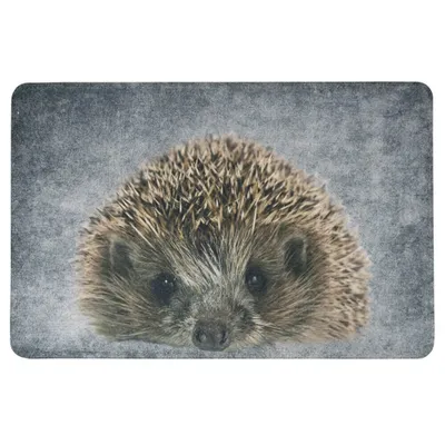 Image de Mars & More Paillasson mignon avec IGEL, lavable en polyester et latex