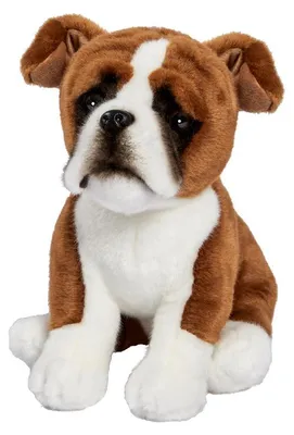 Image de Anima Peluche boxer assis 30 centimetre