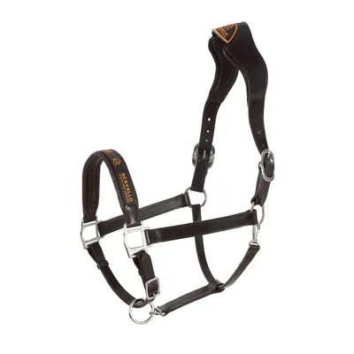 Produktbild von Acavallo Halfter Leder anatomisch