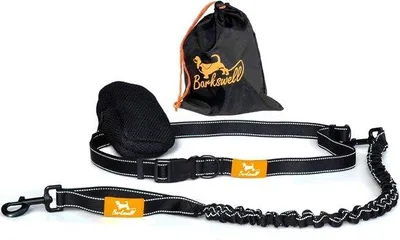 Produktbild von Famanu Handsfree Joggingleine für Hunde - Elastische Bungee-Leine mit Taillengurt, Reflektierend