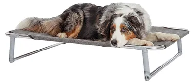 Immagine prodotto di Ferplast: Lettino per cani, cuccia per cani, brandina pieghevole per cani modello DREAM 100