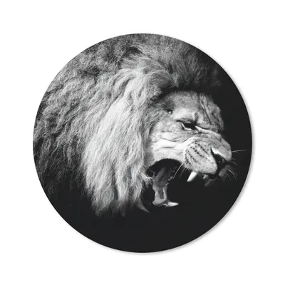 Produktbild von MuchoWow® Mauspad Mousepad Löwe - Porträt - Schwarz - Weiß - Tiere 40x40 cm - Mousepads - Maus Mat - Pad - Mausunterlage - Schreibtisch Accessoires
