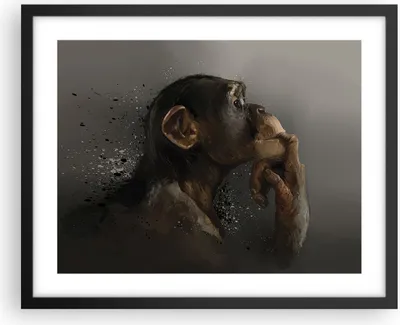 Produktbild von Gerahmtes Poster - Schwarzer Rahmen - Schimpanse Porträt Grafik - 50x40 cm - Wand Bild - Wanddeko - Wandbilder - Kunstposter - Wandposter - Bilderrahmen - Bilder - Kunstdruck - P2BAA50x40-4676