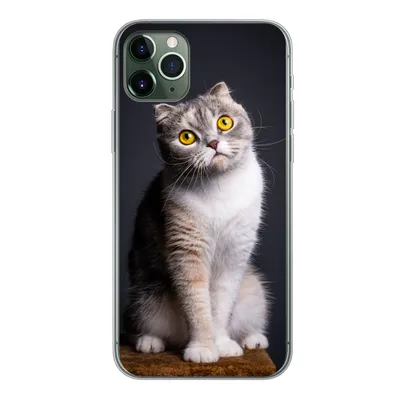 Produktbild von MuchoWow® Handyhülle Schutzhülle Hülle für iPhone 11 Pro Max Katze - Augen - Licht Silikon Softcase Handy Hülle