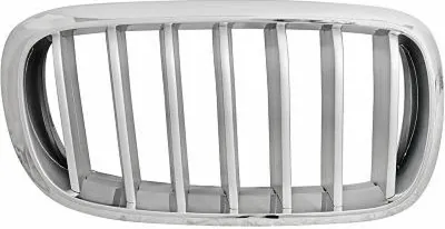 Immagine prodotto di Griglia del radiatore destra DIEDERICHS 1293042 per BMW