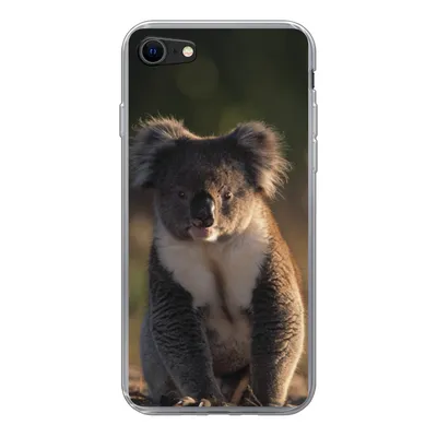 Produktbild von MuchoWow® Handyhülle Schutzhülle Hülle für iPhone SE 2020 Koala - Sonne - Tier - Kinder - Jungen - Mädchen Silikon Softcase Handy Hülle - Kartenbesitzer