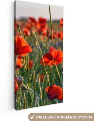 Zdjęcie produktu dla MuchoWow® - Obraz na płótnie - Kwiaty - Maki - Natura - Czerwony, fototapeta, dekoracja ścienna, obrazy do salonu, 20x40cm