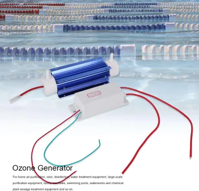 Image de Ozone Generator Ozonator Ionizer Tube Air Purifier Quartz Tube Power Supply 220V 5G