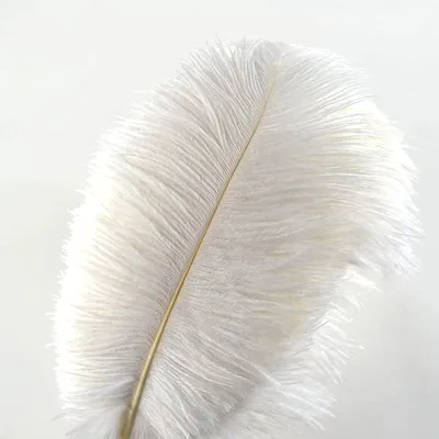 Produktbild von 10Pcs Straußenfedern 12-14Inch (30-35cm) Für Haus Hochzeitsdekoration bietet (Weiß)