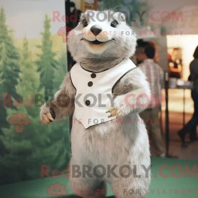 Image de Personnage mascotte REDBROKOLY d une Marmotte Argentée habillée d une Robe Fourreau et de Bretelles