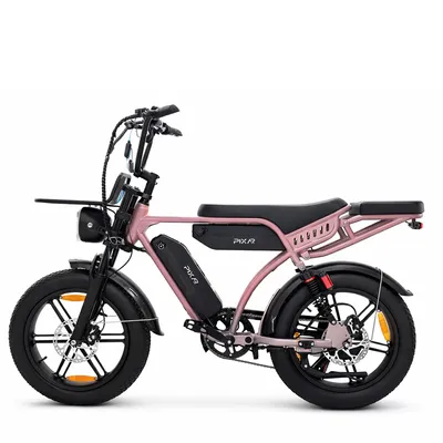 Produktbild von Cityrad M9 E-Bike Elektrofahrrad 20 Zoll Fatbike Pedelec, 48V 35Ah Doppelakku, 200 km, 250W, 25 km/h, Shimano 7-Gang, Hydraulikbremsen, Vollfederung