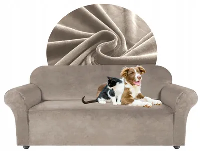 Produktbild von Sofabezug 2 Sitzer 145-185cm - Beige - Samt - Stretch Couchbezug - mit Schaumstoff-Stäben