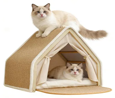 Image de Maison pour chat 2-en-1 avec tapis à gratter - Cadre en bois - 50 x 40 x 40 cm
