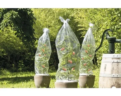 Obrázek produktu pro Fólie na rajčata FloraSelf 10x0,65 m průhledná