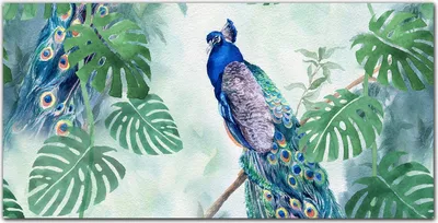 Produktbild von Coloray Küchenrückwand 100x50 Spritzschutz aus Glas - Zweig Blätter Vogel Pfau