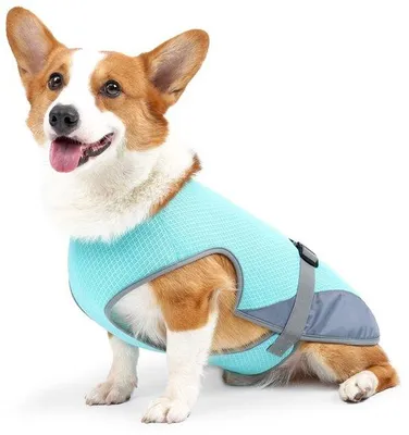 Immagine prodotto di Gilet rinfrescante per cani, traspirante, regolabile, leggero