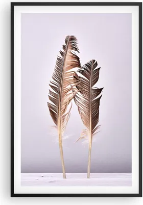 Produktbild von Gerahmtes Poster - Schwarzer Rahmen - Zwei Federn Flieder - 61x91,5 cm - Wand Bild - Wanddeko - Wandbilder - Kunstposter - Wandposter - Bilderrahmen - Bilder - Kunstdruck - Wandbild - P2BPA61x91-4335