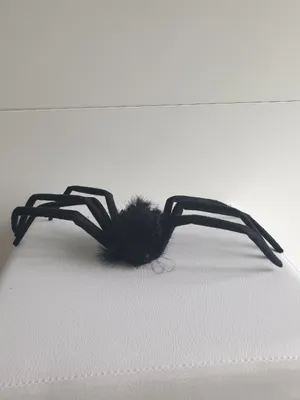 Produktbild von Fu54718 schwarz Spinne zum Dekorieren