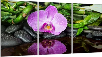 Obrázek produktu pro Krycí desky varných desek 3 kusy 30x52 Skleněný keramický kryt varné desky, orchidejově fialový
