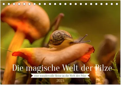 Produktbild von Die magische Welt der Pilze (Tischkalender 2025 DIN A5 quer), CALVENDO Monatskalender