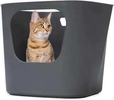 Image de Litière Eco pour chat, grise, 54 x 43 x 40 cm