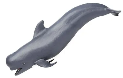 Produktbild von Safari Ltd Pilot Whale Figur Grau From 3 Years Grau From 3 Years
