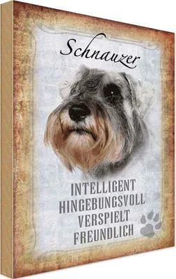 Produktbild von vianmo Holzschild 30x20 cm Schnauzer Hund Tier Haustier