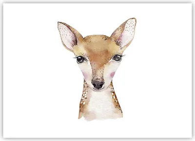 Produktbild von Poster - Poster ohne Rahmen - Damhirschkuh Grafiken Kinder - 70x50 cm - Wand Bild - Wanddeko - Wandbilder - Kunstposter - Wandposter - Bilder - Kunstdruck - Wanddekoration - Wandbild - P2XAA70x50-4449