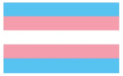 Produktbild von Trans Flag Aufkleber / Sticker 5.0 x 7,6 cm