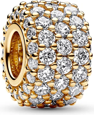 A close-up studio shot of a Pandora charm.