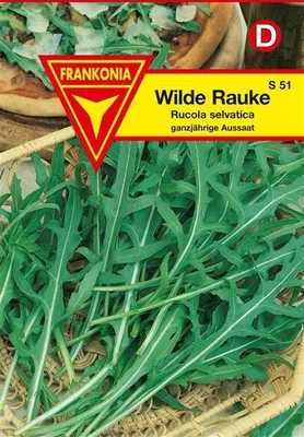Produktbild von Wilde Rauke